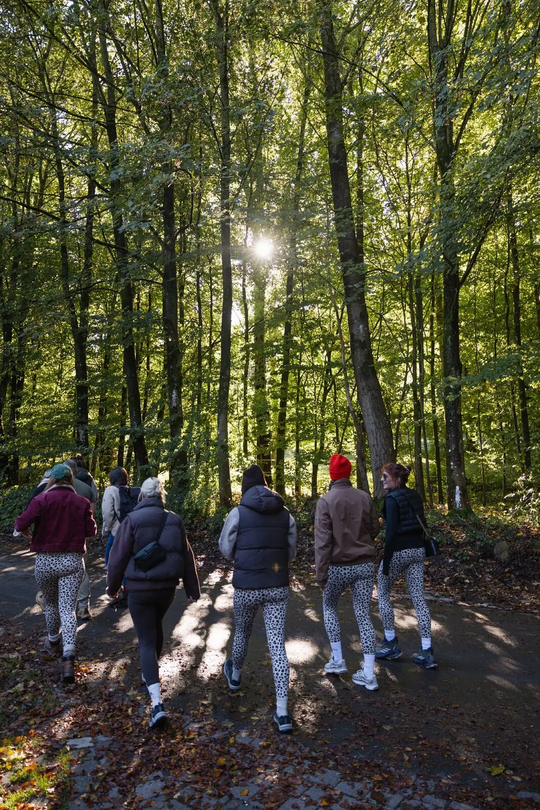 Wandergruppe im sonnigen Buchenwald der Hüttener Berge