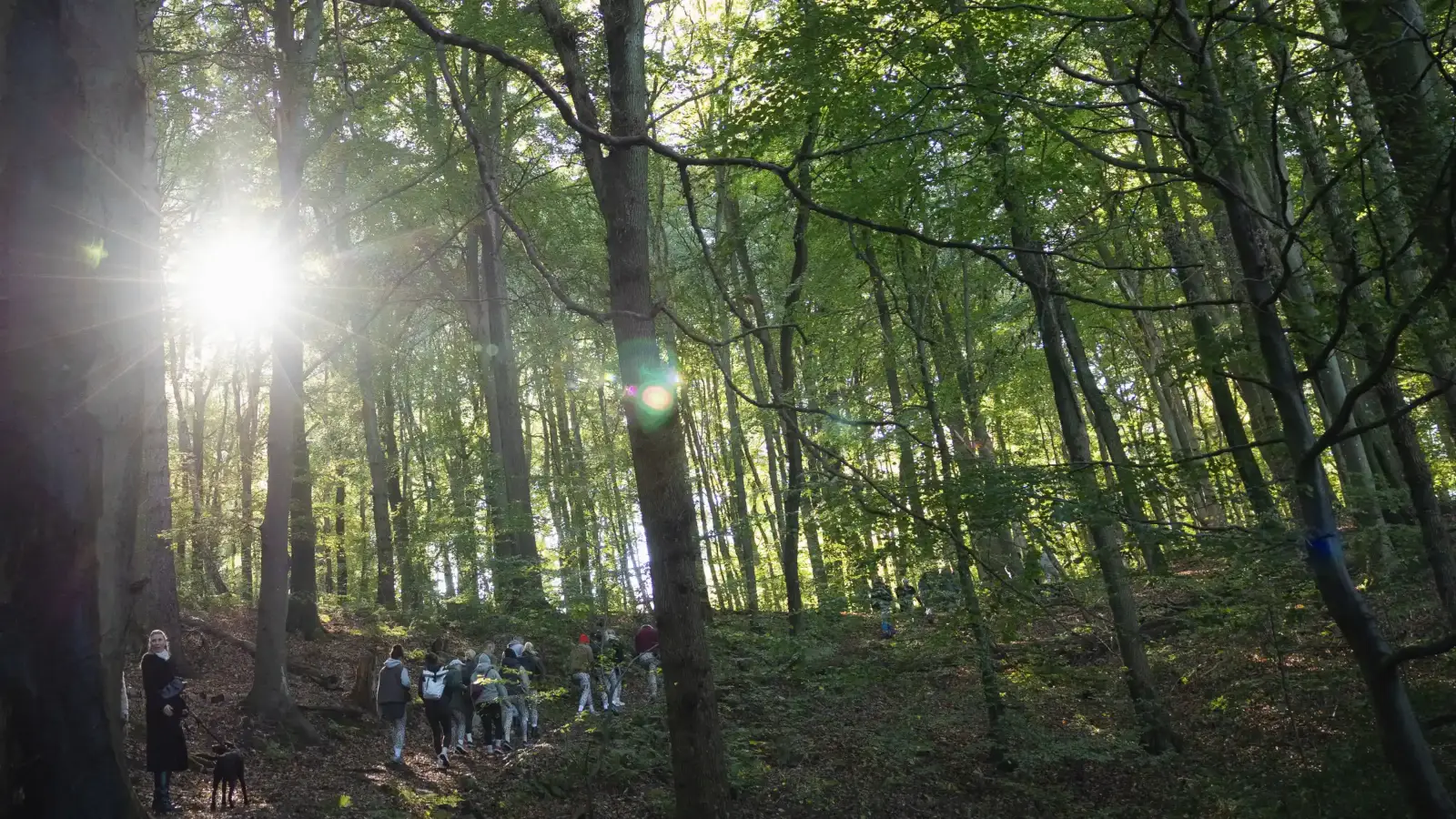 Wandergruppe im Buchenwald der Hüttener Berge, Sonne scheint durch die Bäume