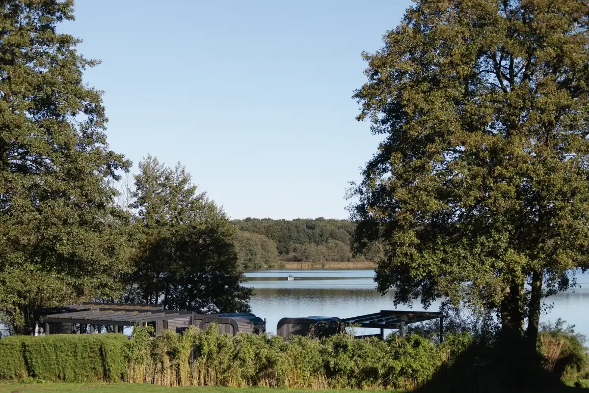 Blick zwischen alten Bäumen auf die Saunen am Ufer und den Bistensee am Vormittag